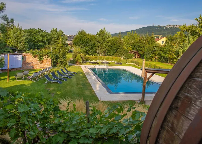 Amenity Penzion Horni Vestonice