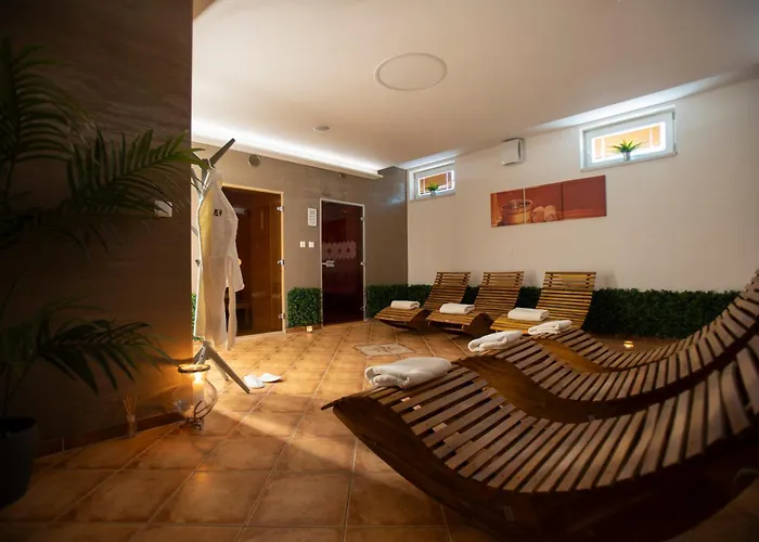 Amenity Penzion Horni Vestonice